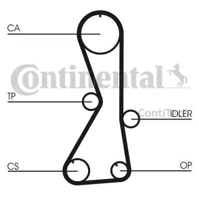 Continental CT 1016 - Cinghia dentata www.autoricambit.com