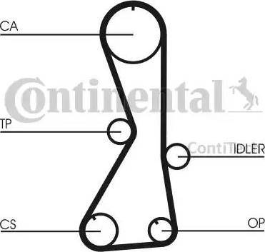 Continental CT1016K1 - Kit cinghie dentate www.autoricambit.com