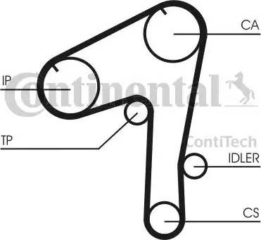 Continental CT 1084 - Cinghia dentata www.autoricambit.com