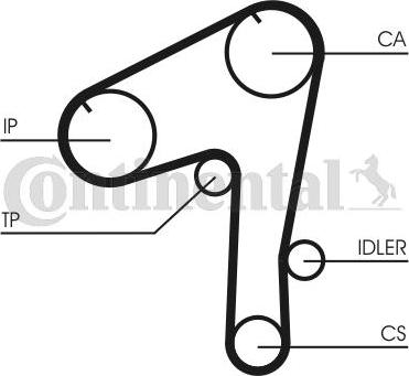 CONTITECH CT 1084 - Cinghia dentata www.autoricambit.com