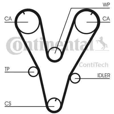 Continental CT1085 - Cinghia dentata www.autoricambit.com