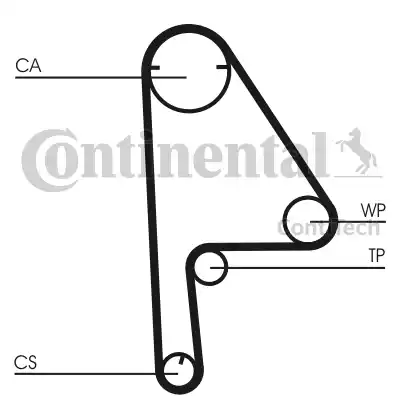 Continental CT 1081 - Cinghia dentata www.autoricambit.com