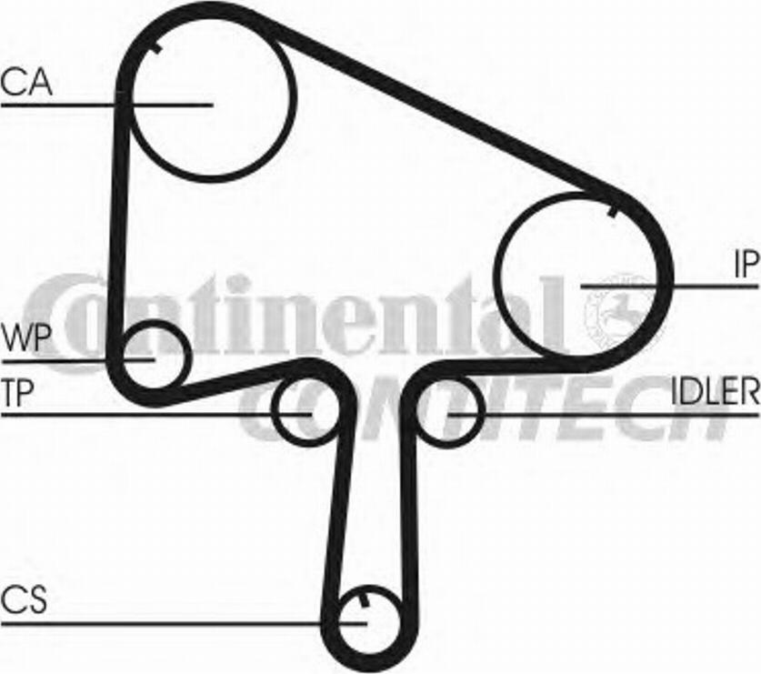 Contitech CT 1036 - Cinghia dentata www.autoricambit.com