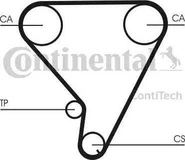 Continental CT1033 - Cinghia dentata www.autoricambit.com