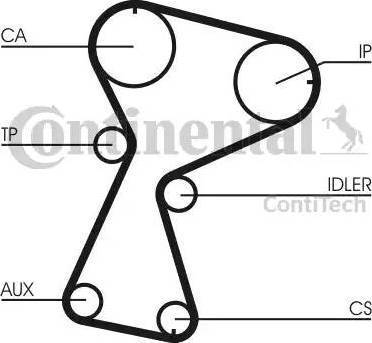 Continental CT1026K1 - Kit cinghie dentate www.autoricambit.com