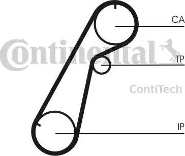 Continental CT 1020 - Cinghia dentata www.autoricambit.com