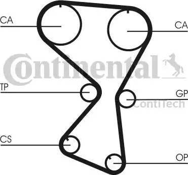 Continental CT 1071 - Cinghia dentata www.autoricambit.com