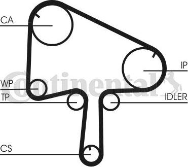 CONTITECH CT1145K1 - Kit cinghie dentate www.autoricambit.com