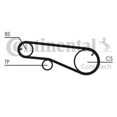 Continental CT1141 - Cinghia dentata www.autoricambit.com