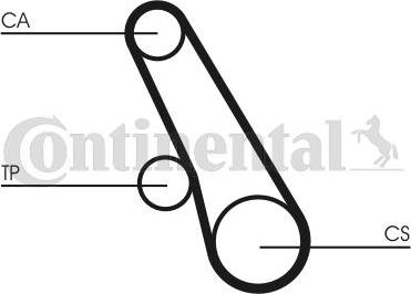 CONTITECH CT 1109 - Cinghia dentata www.autoricambit.com