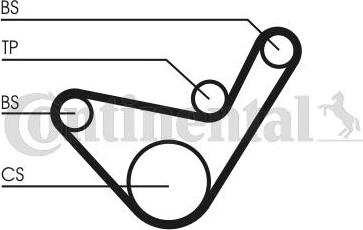 CONTITECH CT1107K1 - Kit cinghie dentate www.autoricambit.com