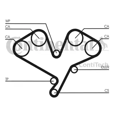 Continental CT1113 - Cinghia dentata www.autoricambit.com