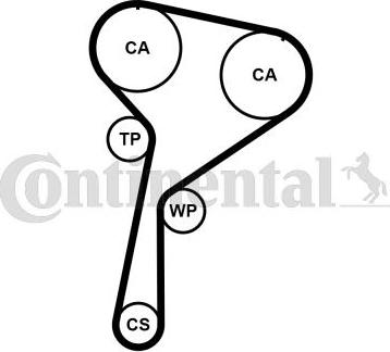 CONTITECH CT1244WP1 - Pompa acqua + Kit cinghie dentate www.autoricambit.com