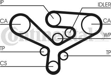 Contitech CT 1135 - Cinghia dentata www.autoricambit.com