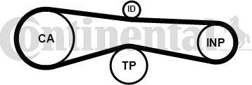 CONTITECH CT 1131 K1 - Kit cinghie dentate www.autoricambit.com