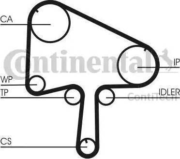 Continental CT 1129 - Cinghia dentata www.autoricambit.com