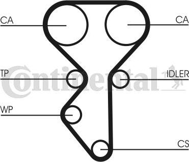 CONTITECH CT 1137 WP1 - Pompa acqua + Kit cinghie dentate www.autoricambit.com