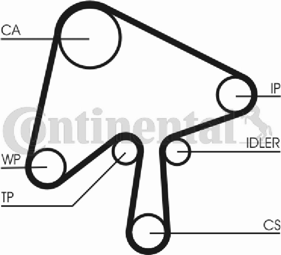 Contitech CT 1124 - Cinghia dentata www.autoricambit.com