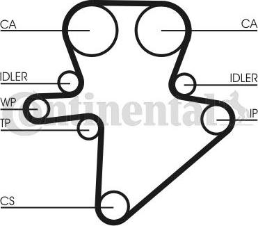 CONTITECH CT 1123 - Cinghia dentata www.autoricambit.com