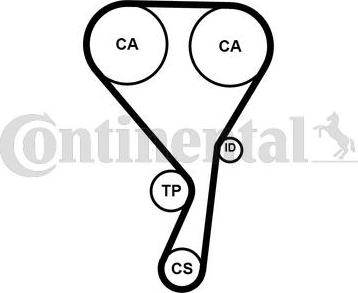 Continental CT1215 - Cinghia dentata www.autoricambit.com