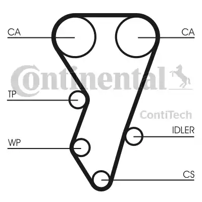 Continental CT864 - Cinghia dentata www.autoricambit.com