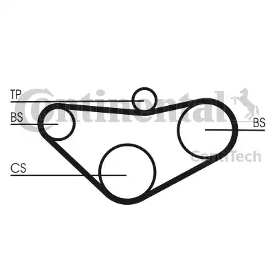 Continental CT800 - Cinghia dentata www.autoricambit.com