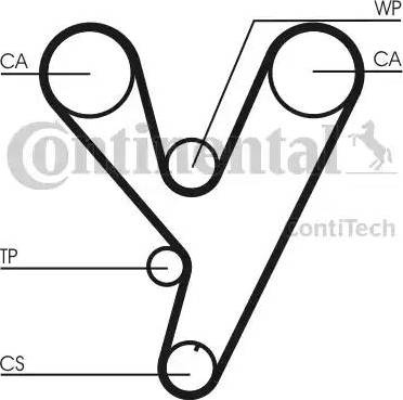 Continental CT814 - Cinghia dentata www.autoricambit.com