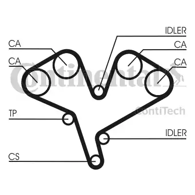 Continental CT884 - Cinghia dentata www.autoricambit.com