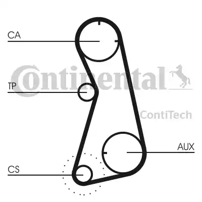 Continental CT872 - Cinghia dentata www.autoricambit.com