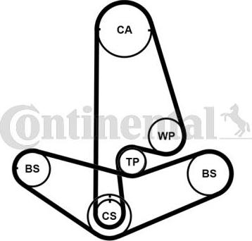 Continental CT799K2PRO - Kit cinghie dentate www.autoricambit.com