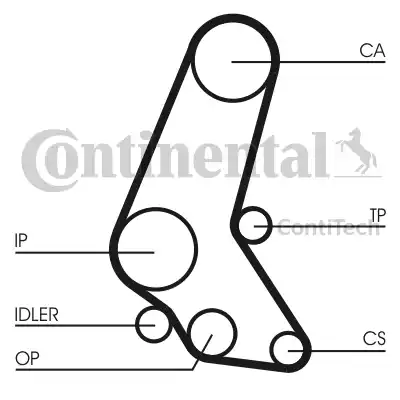 Continental CT748 - Cinghia dentata www.autoricambit.com