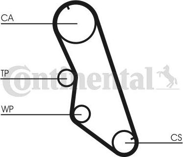 Continental CT754WP2 - Kit cinghie dentate www.autoricambit.com