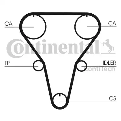 Continental CT769 - Cinghia dentata www.autoricambit.com