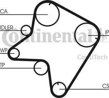 Continental CT762 - Cinghia dentata www.autoricambit.com