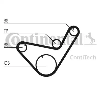 Continental CT714 - Cinghia dentata www.autoricambit.com