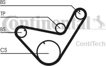 Continental CT714K1 - Kit cinghie dentate www.autoricambit.com