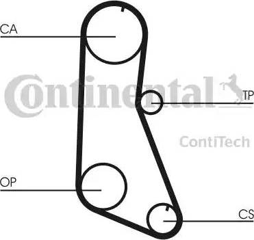 Continental CT716 - Cinghia dentata www.autoricambit.com