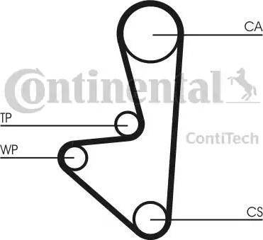 Continental CT718 - Galoppino/Guidacinghia, Cinghia dentata www.autoricambit.com