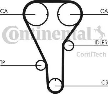 Continental CT787 - Cinghia dentata www.autoricambit.com