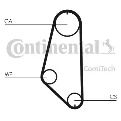 Continental CT720 - Galoppino/Guidacinghia, Cinghia dentata www.autoricambit.com