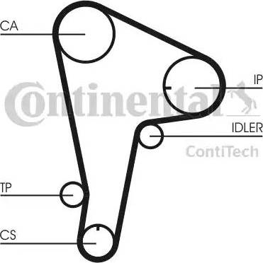 Continental CT721 - Cinghia dentata www.autoricambit.com