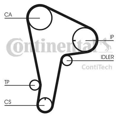 Continental CT721 - Cinghia dentata www.autoricambit.com