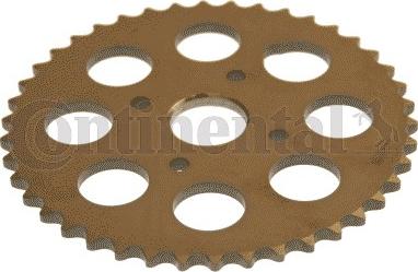 Contitech V3458007 - Ruota dentata, Albero a camme www.autoricambit.com