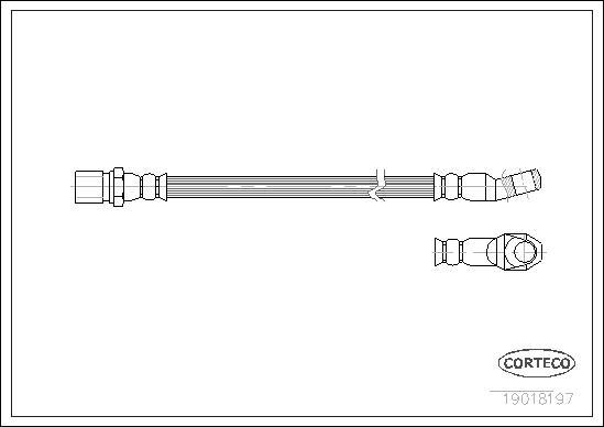 Corteco 19018197 - Flessibile del freno www.autoricambit.com