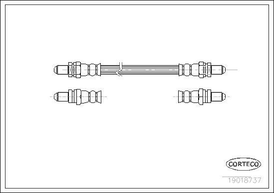 Corteco 19018737 - Flessibile del freno www.autoricambit.com