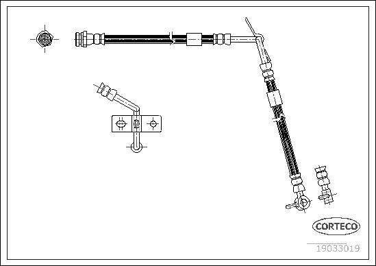 Corteco 19033019 - Flessibile del freno www.autoricambit.com