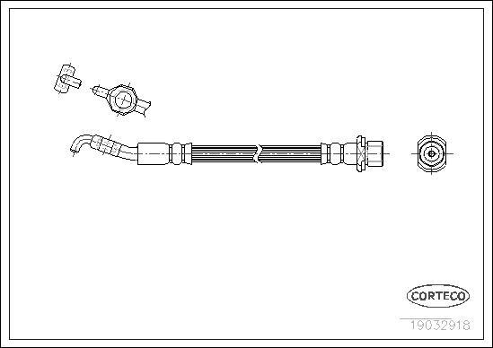 Corteco 19032918 - Flessibile del freno www.autoricambit.com