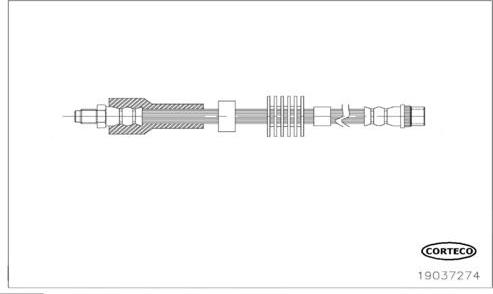 Corteco 19037274 - Flessibile del freno www.autoricambit.com