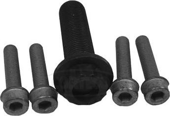 Corteco 80001259 - Kit bulloni, Puleggia-Albero a gomiti www.autoricambit.com