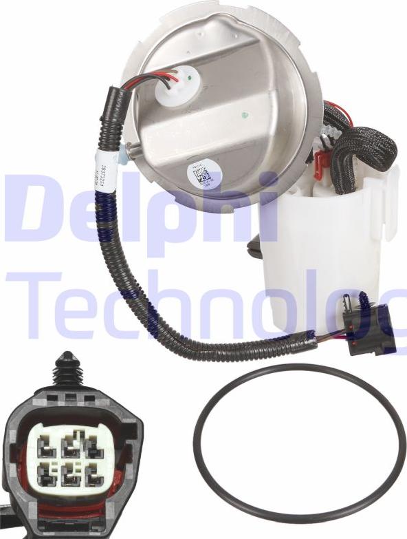 Delphi FG111411B1 - Gruppo alimentazione carburante www.autoricambit.com